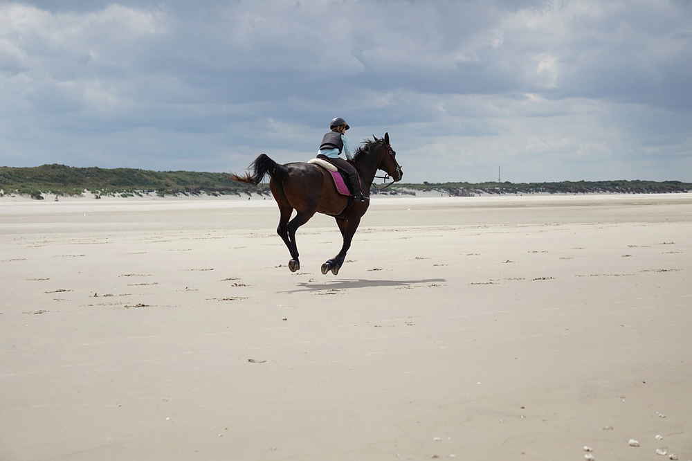 Du betrachtest gerade Reiten auf der Insel Borkum