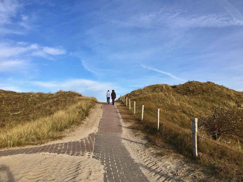 Auf der Düne Auf der Düne