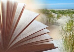 Mehr über den Artikel erfahren Berend de Vries und Borkum – Literatur-Tipp